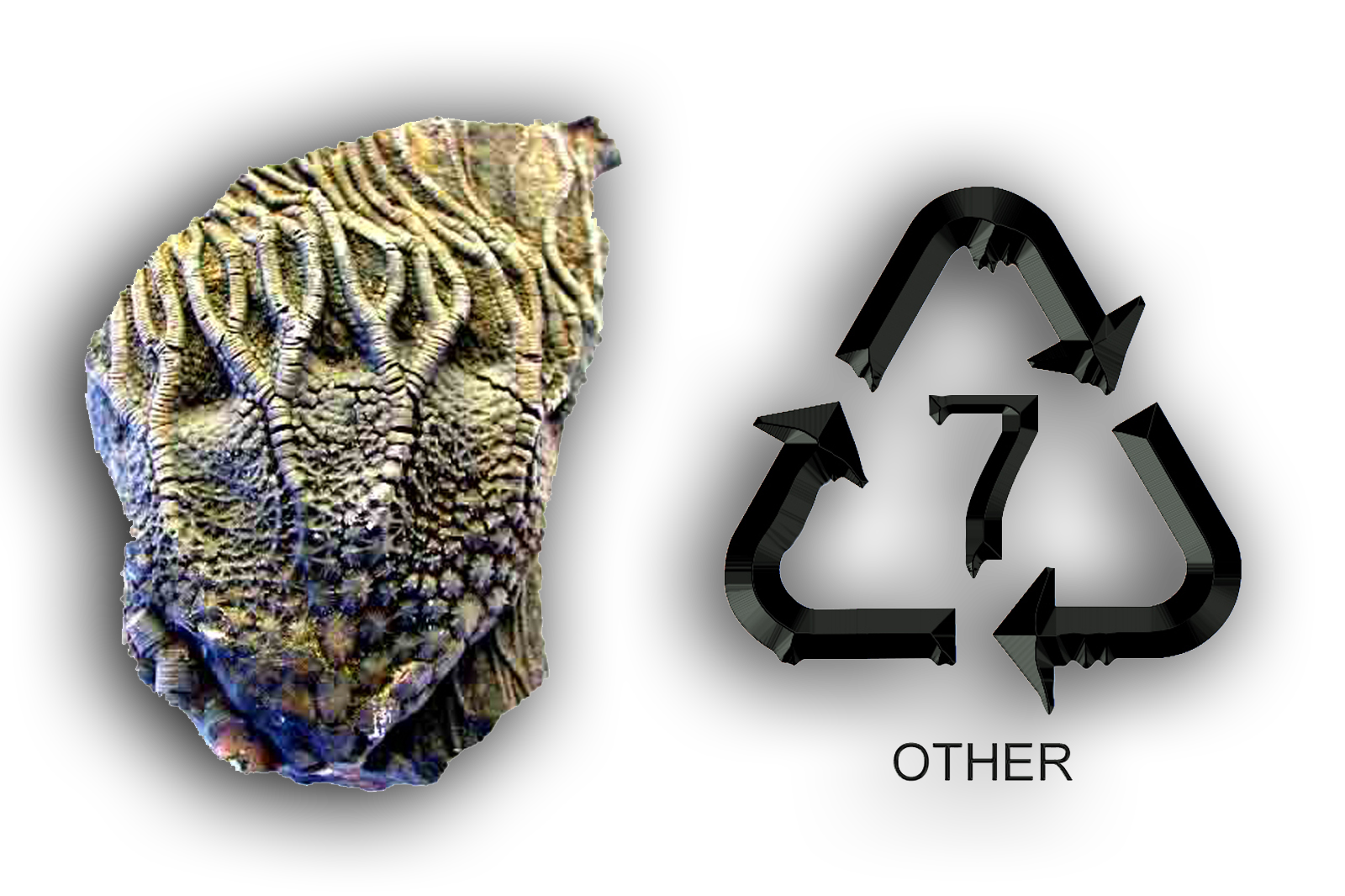 PHILIPS 2013 / Old Earth Objects